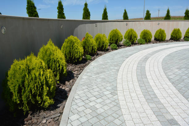 Best Driveway Repair Near Me  in Velva, ND